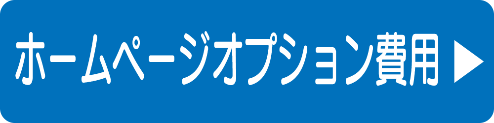 ホームページオプション費用